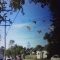 5 triangular objects in Sydney suburban street. image 648