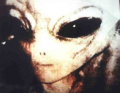 Types of Aliens - Greys, Reptilians and more. image 1