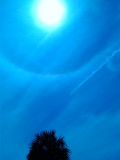 March 28 2015 circular UFO near the sun image 641