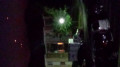 hovering lights in parkville maryland image 737