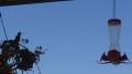 Oval shaped UFO shining or glowing in the sky image 997