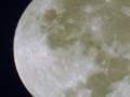 Object flying around moon. Seen on different days image 1047