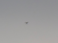 Military drone or a UFO high up in the sky image 62