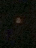 Ring seen in the distance every night in washingto image 93