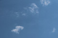Potential UFO in the Sky in my photograph. image 99
