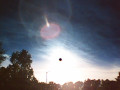 Black Circle Dot on the Suns Center image 139