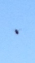 Object seen in photo above Whiskeytown Lake, CA image 462